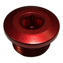 TRS OIL FILLER PLUG - OEM