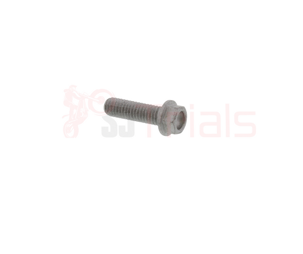 M6 X 20 FLANGE HEAD BOLT- BRAKE DISCS