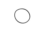 SCORPA SHERCO WATERPUMP O RING