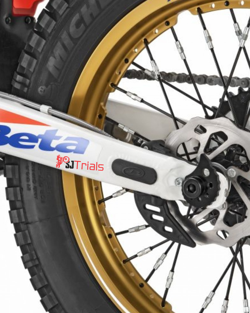 BETA EVO SWINGING ARM PLUG