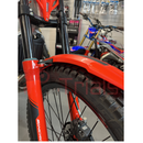 BETA EVO SINCRO FORK BRACE
