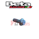 M6X16 HEX BOLT- BETA REAR DISC