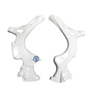 BETA EVO FRAME GUARDS (3 COLOURS)