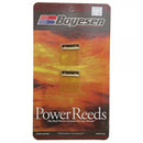 BOYESEN POWER REEDS GAS GAS PRO