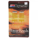 BOYESEN POWER REEDS GAS GAS PRO