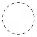 JITSIE 18" & 21" WHEEL RIM STICKER KIT