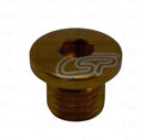 CSP SCORPA SHERCO OIL FILLER PLUG